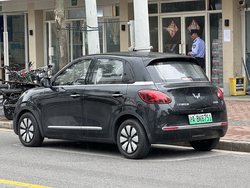 Wuling Bingo