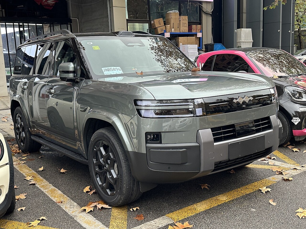 Leopard Tai 7