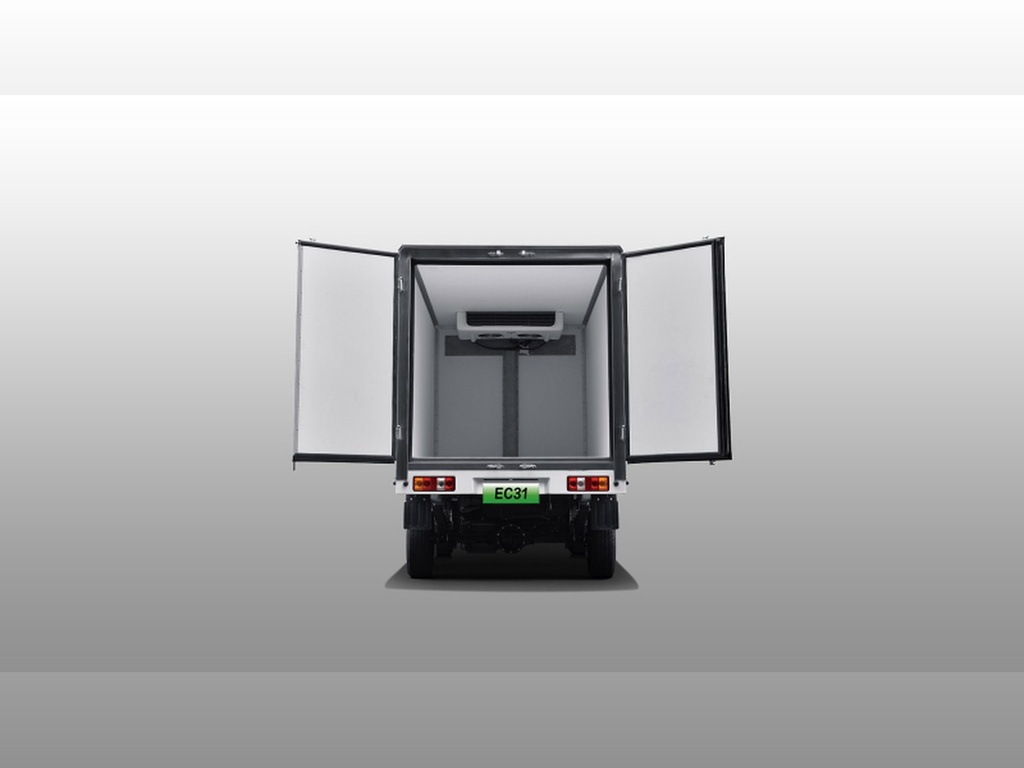 EC31-LC-g01