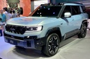 Denza B8