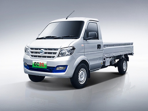 Ruichi EC31L